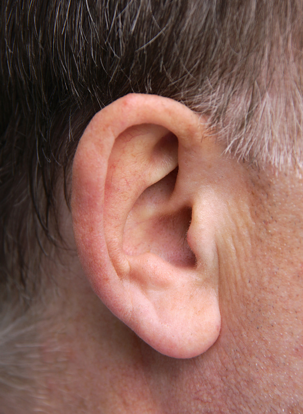 Male ear close up